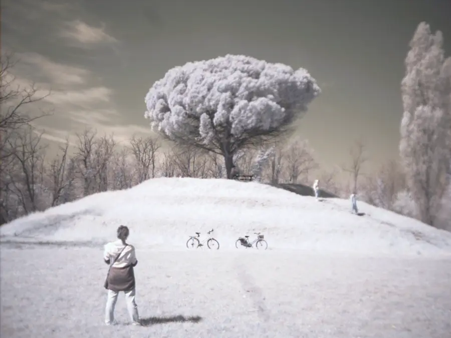 Fujifilm MV-1 full spectrum photo