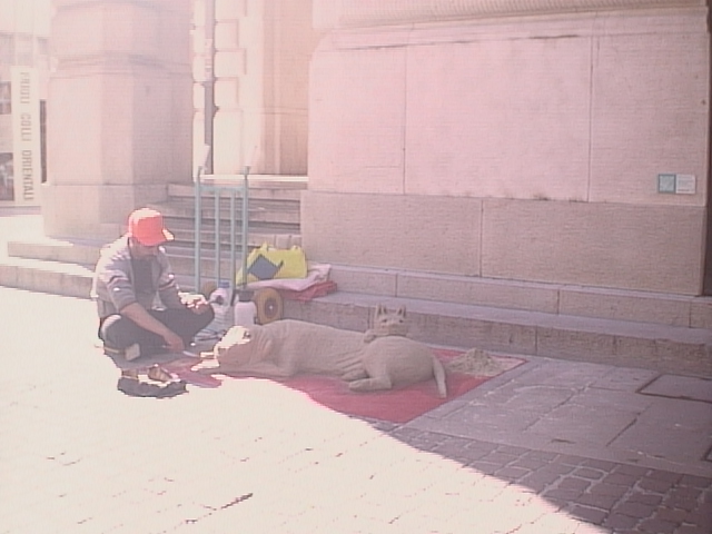 canon powershot 350 udine street photography