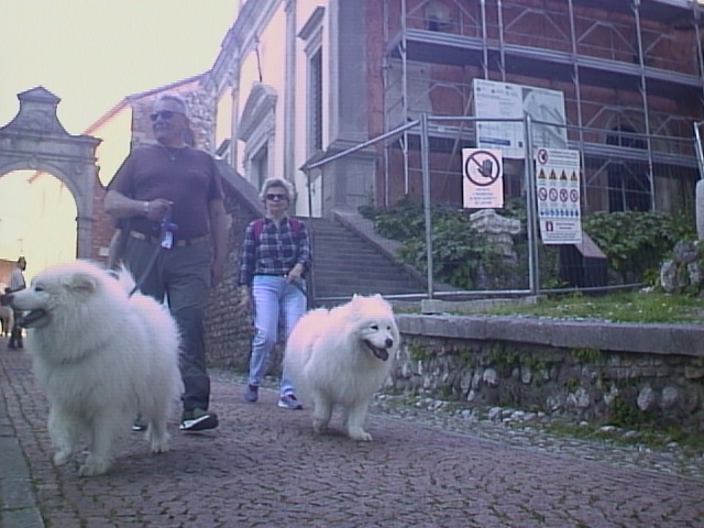 canon powershot 350 udine street photography