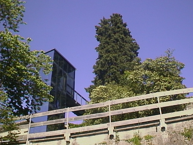 canon powershot 350 udine street photography